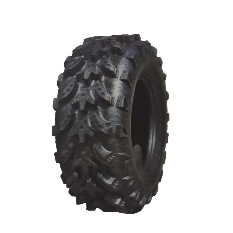 26x10-12 ATV21.jpg